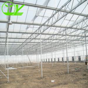 Our Top-Notch Polycarbonate Greenhouse Single Layer 30-100m Length
