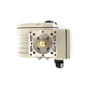 Swinging Arm IP67 Waterproof DCL Compact Actuator