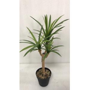 Flexible Glue Faux Dracaena Plant Black Plastic Pot 45 CM 62 CM 82 CM