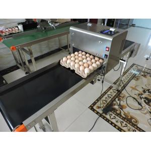 Egg Industry Automatic Batch Code Printing Machine With Thermal Foam Type Nozzle