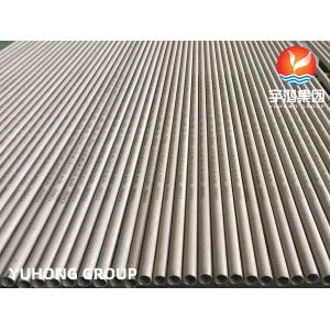 Austenitic ASTM A213 TP316L 1.4404 Seamless Heat Exchanger Tube