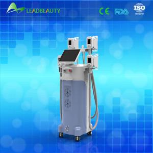 Cryolipolysis fat freeze Slimming Machine+cryolipolysis slimming machine