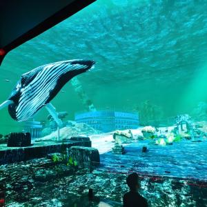 China Northern Lights Experiential Theatre Indoor Immersive Cinema on sale