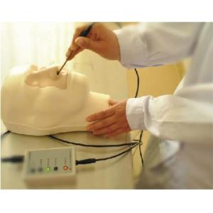 Quality College , hospital learning simulations nasal hemorrhage training model for sale
