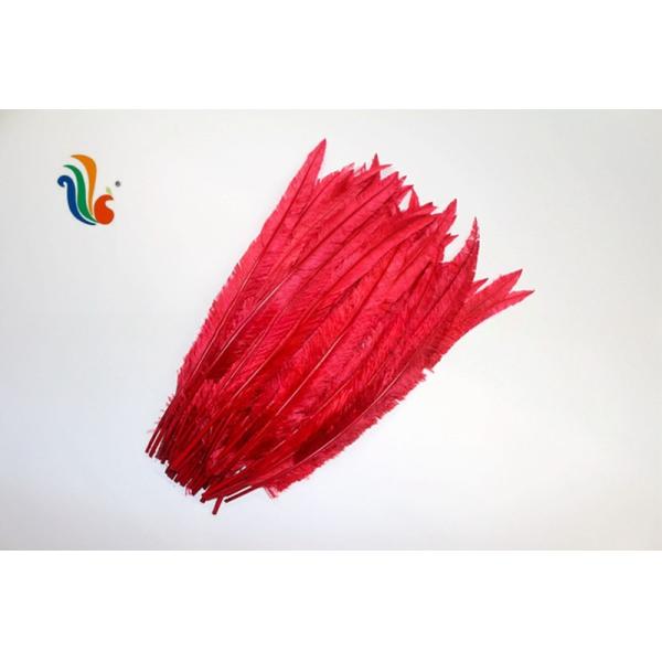 Party Decoration Nandu Plumes Feather Dyed Pattern for Worldwide Shipping