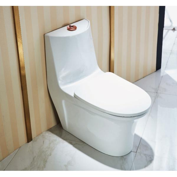 0.85GPF Elongated One Piece Toilets Seat Included Single Flush