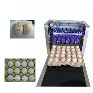 Eggs Batch Code Food Inkjet Printer , Continuous Laser Marking Machine