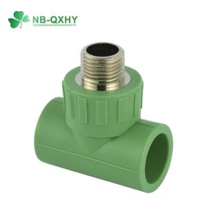 PPR Pipe Fitting Male Thread Tee with Brass Equal and Round Head Code