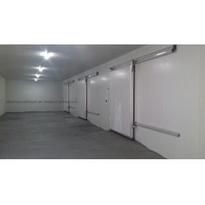 Freon Refrigerant Commercial Cold Room for Meat Fish Food Fruit Chicken and