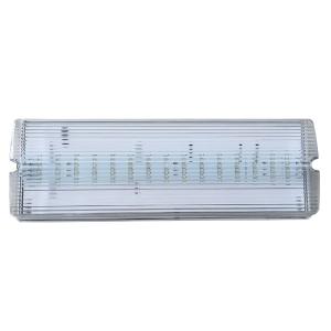 Professional Custom Surface Wall Mounted Waterproof Emergency Light