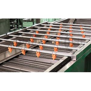 Fruit Vegetable Washing Equipment Lettuce Cleaning Machine