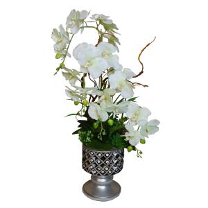 Buy cheap Real Touch Potted Silk Orchids from wholesalers