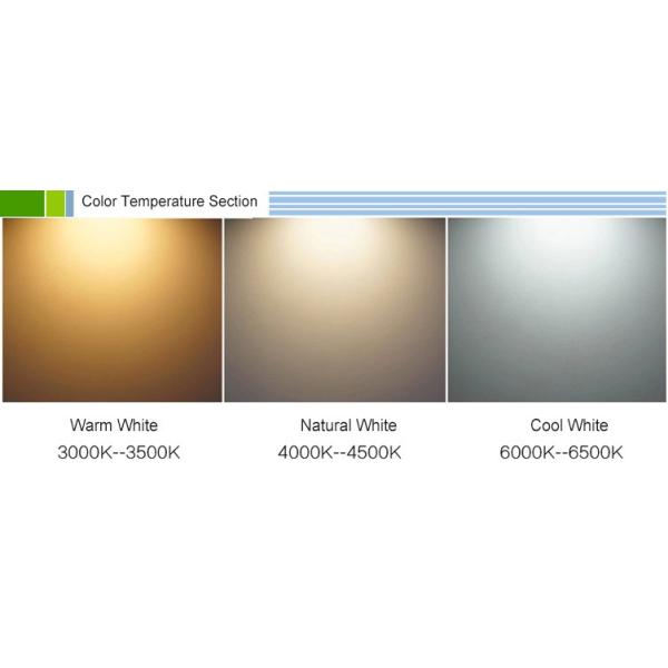 Warm White LED surface mount light Dia 115 * 80 * 115mm IP44