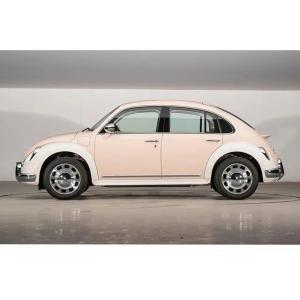 Electric Sports Car with Touch Screen and 3 Cylinders Great Wall Motors' Latest