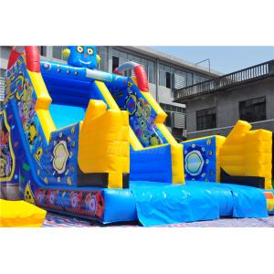 Commercial Inflatable Water Slides Robot Theme Outdoor With Printing