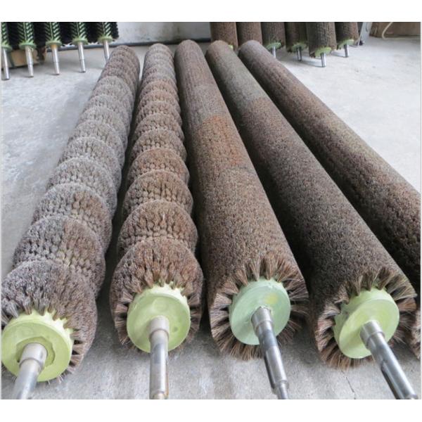 Buy Rotary Soft Nylon Filament Radish Potato Cleaning Brush Roller at wholesale prices