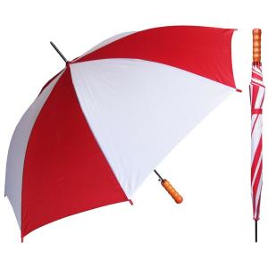 Weatherproof 23 Inch Automatic Stick Umbrella With J Shape Handle