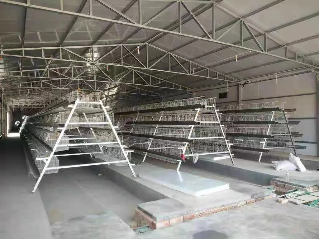 A Type Layer Cage System overview
