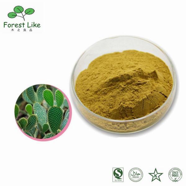 Food Ingredients 5% Lotus Leaf Extract Powder Nuciferine