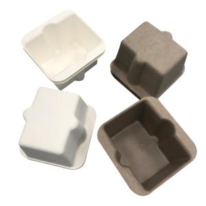 Thermoformed Sugarcane Pulp Packaging 3mm Thickness Shockproof