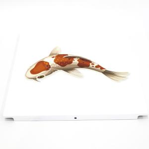 3D Modern Aluminum Artistic Ceiling Tiles With Fish Pattern Customized Size