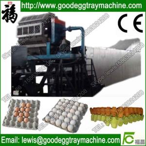 Automatic Chicken Egg Dish Making Machine Quality Egg Tray