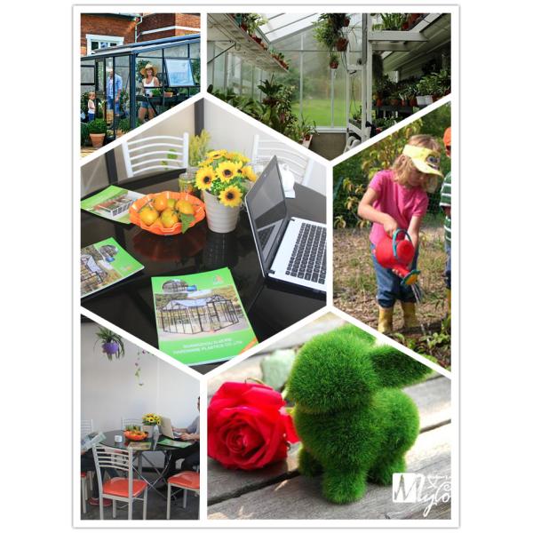 G-MORE Large Lean To Greenhouse Application 3.jpg