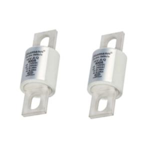 Professional Ceramic Automotive Fuses Manufacturer High Current Ceramic Car Fuse