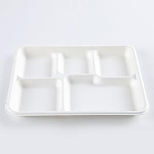 5 section Compostable Dessert Plates Sugarcane/Bagasse and Bamboo Fibre