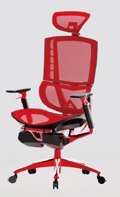 Buy Adjustable Ergonomic Office Chair Molded Foam Ergo Mesh Manager Chair at wholesale prices