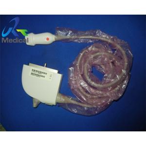 Siemens P4-2 Phased Array Cardiac Ultrasound Transducer Probe Imaging System