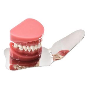 Dental Double Side Orthodontic Instrument SS Photograph Mirror