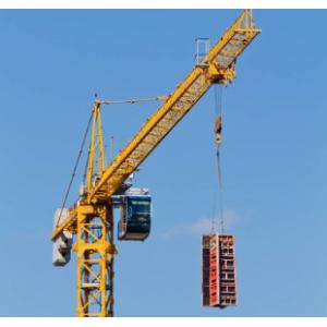 Mini Hammer Head Tower Crane 12T with remote control