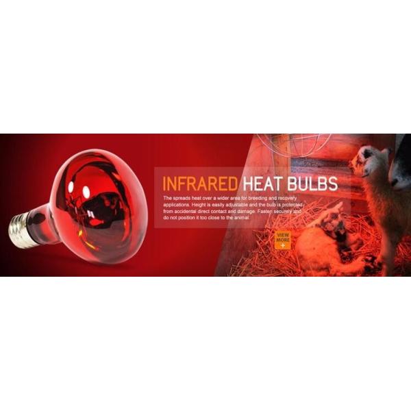 Red infrared lamp 100W 150W 175W 200W 250W 275W animal chicken pig pet therapy infrared heating bulb