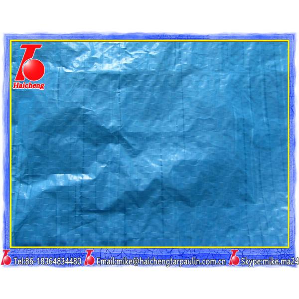 poly woven tarpaulin,lightweight waterproof fabric,backyard playground ground cover.jpg