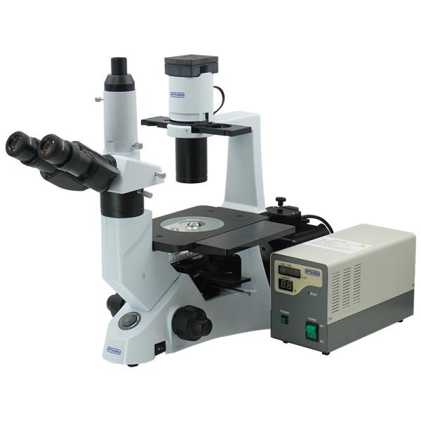 Buy Infinitive Plan Phase Contrast Microscope A16.1023 With CE Approval at wholesale prices