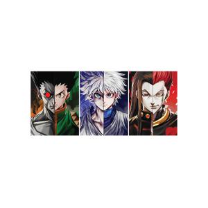 Film Lamination Lenticular Flip 3D HUNTER × HUNTER Triple Transition Anime