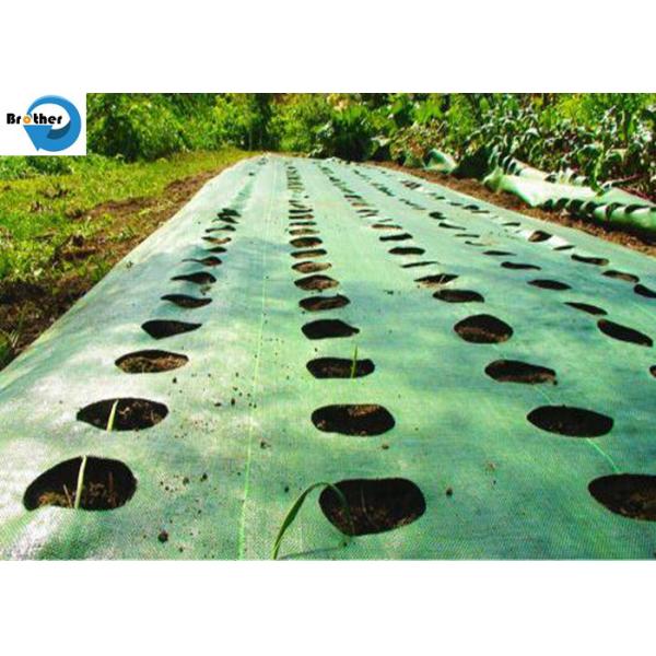 UV Treated Agriculture Weed Control Mat Black Plastic Mulch Ground Cover Weed Barrier Fabric