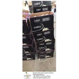 China garlic to Brazil