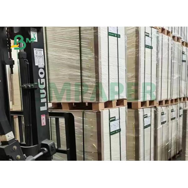 40 micron 120gsm Food Grade White Kraft Paper For Cone Cup 70mm 85mm