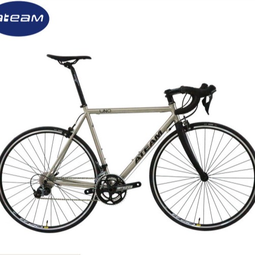 Buy Cr-Moly 700C Custom Steel Road Bike 14G 304 Stainless Spoke at wholesale prices