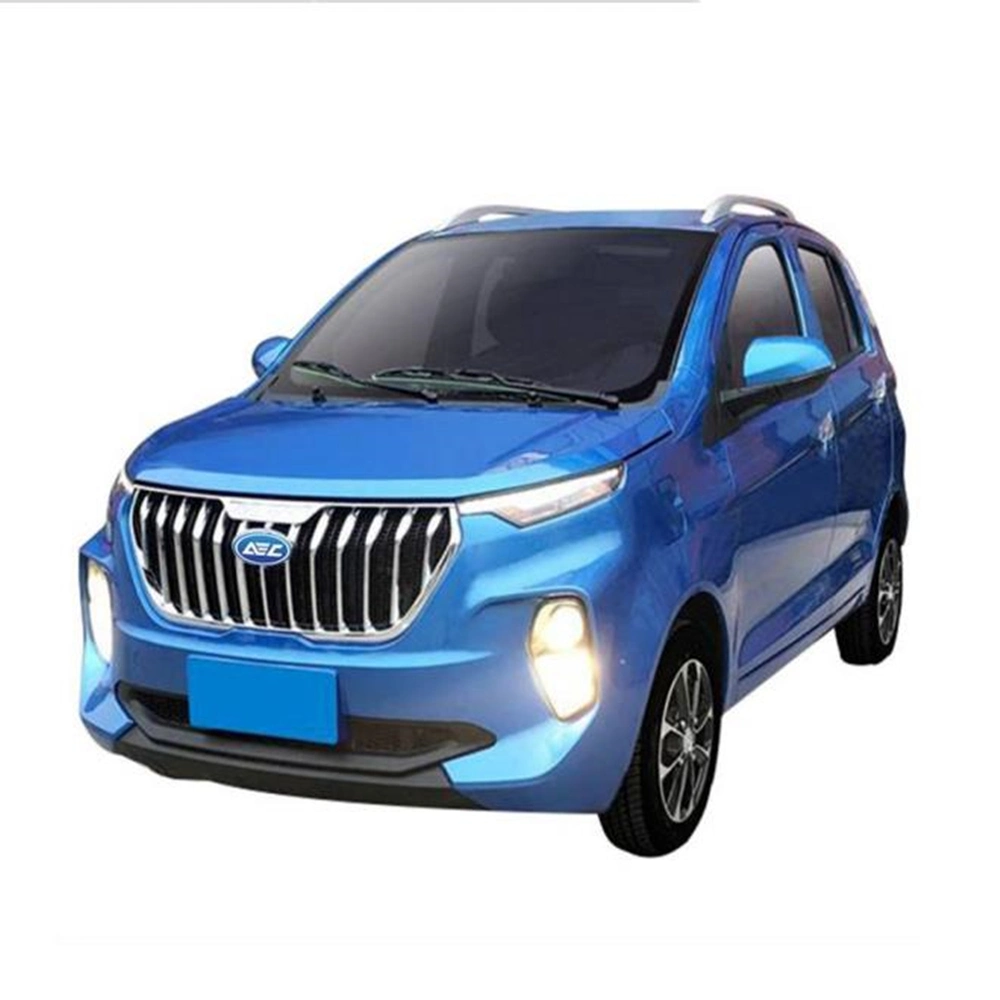 Raysince New model electric vehicle 4 Seats 5 door China high speed electric car