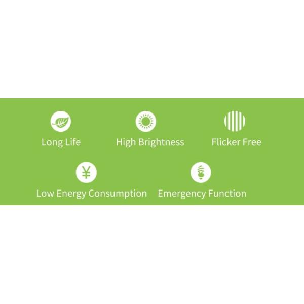 3 Hours 15W 6500K Wall Mounted LED Emergency Light