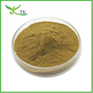 Quality Natural African Mango Seed Extract Powder 10:1 Mango Seed Extract Weight Loss Raw Material for sale
