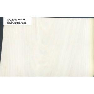 Maple Engineered Wood Veneer