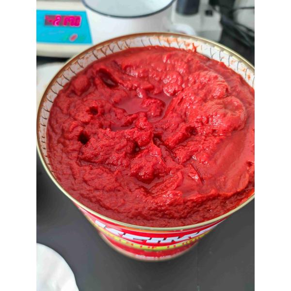 Buy Fresh Canned Tomato Paste 70-400g China Origin at wholesale prices