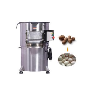 800kg/HR Ginger Turmeric Washing Machine Potato Polishing Peeling Machine