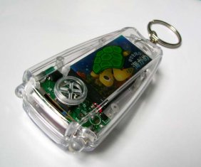 Solar keychain light