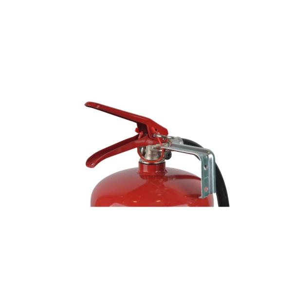 Buy Red Stainless Steel Class A Water Fire Extinguisher Carton / Wooden Case at wholesale prices