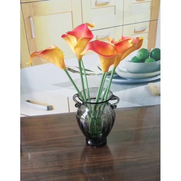 Solid Color Two Ears Glass Bottle Vase , Flower Vase Glass For Home Decor